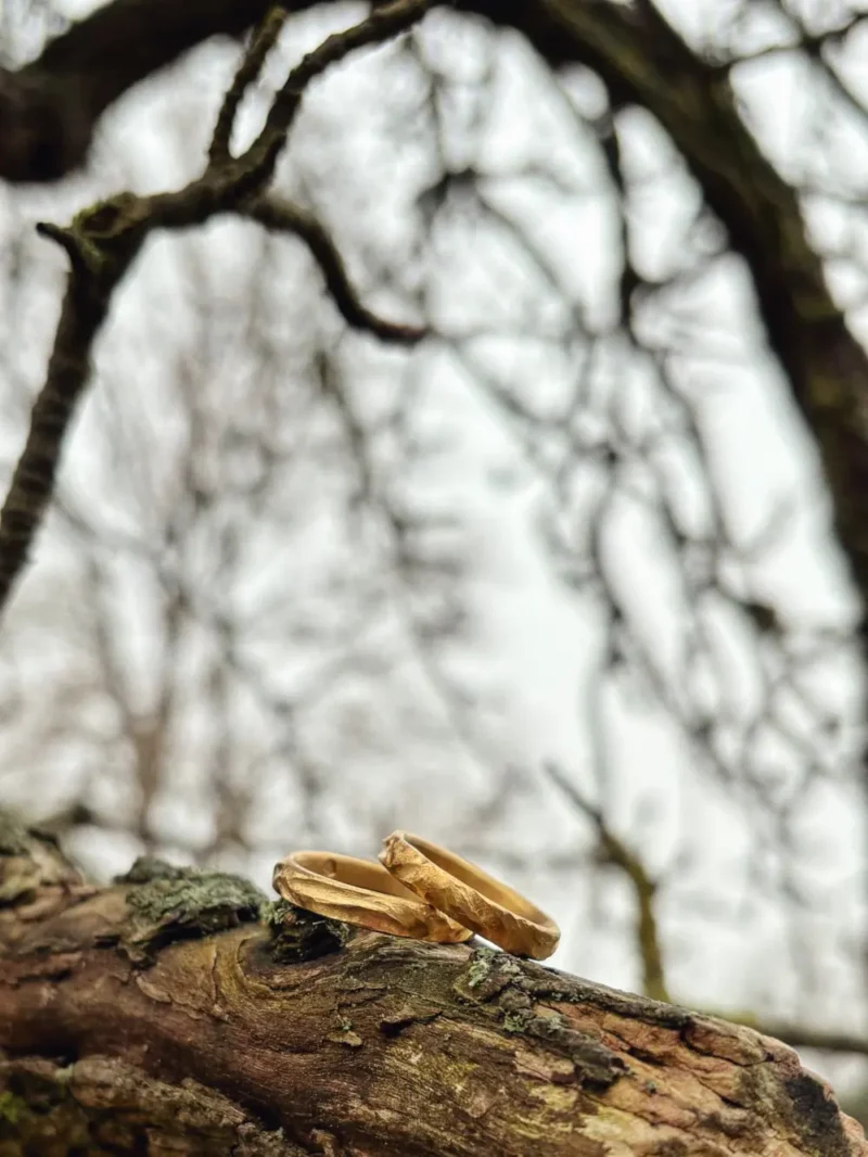 Eheringe aus Gold mit robuster Oberfläche liegen auf Birnbaum