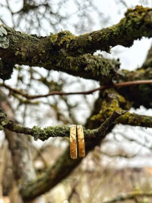 Eheringe aus Gold mit robuster Oberfläche hängen am Birnbaum