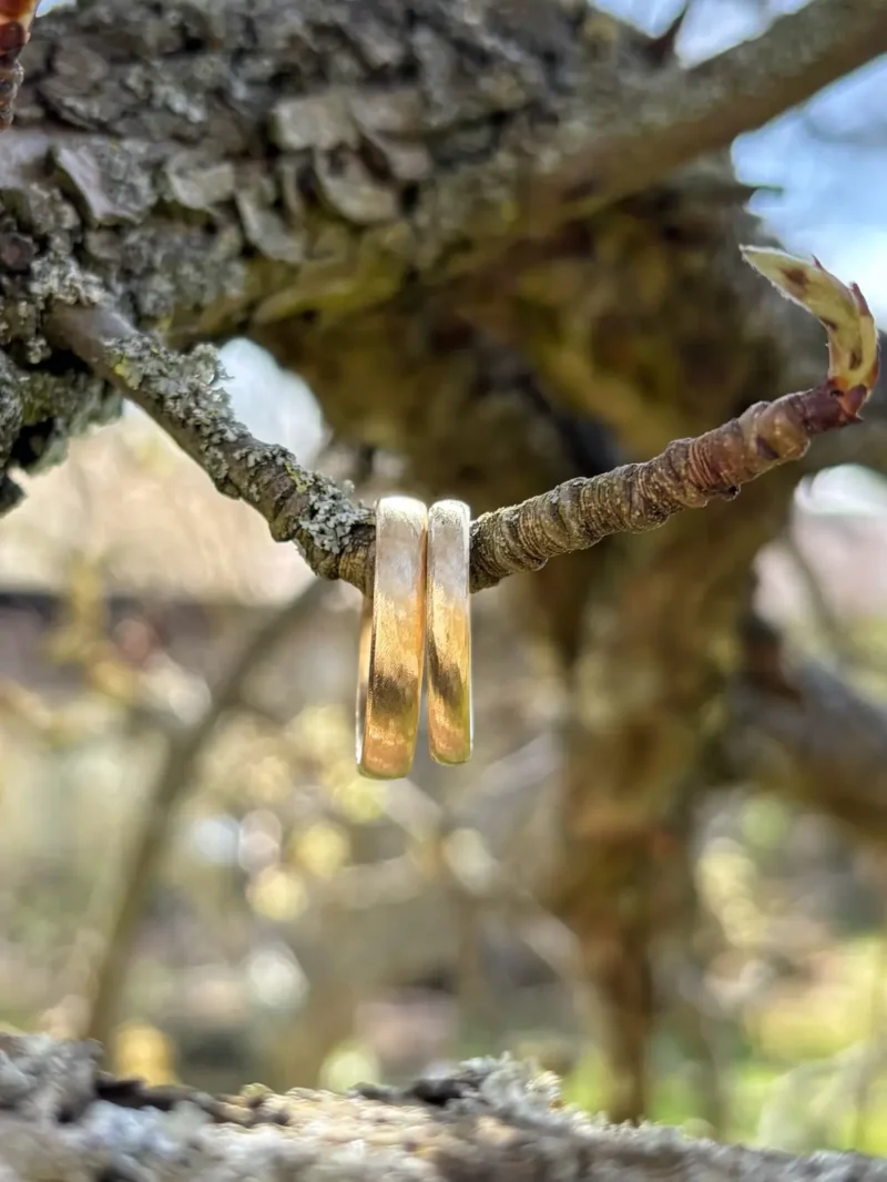 kleine Wellen - Eheringe mit fein gefeilter Struktur aus Gelbgold hängen an Birnbaum Ast