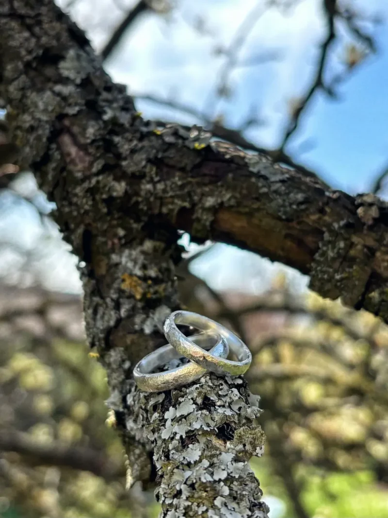 Liebesbrief Eheringe mit einzigartig geschmiedeter Struktur aus Silber auf Baum liegend